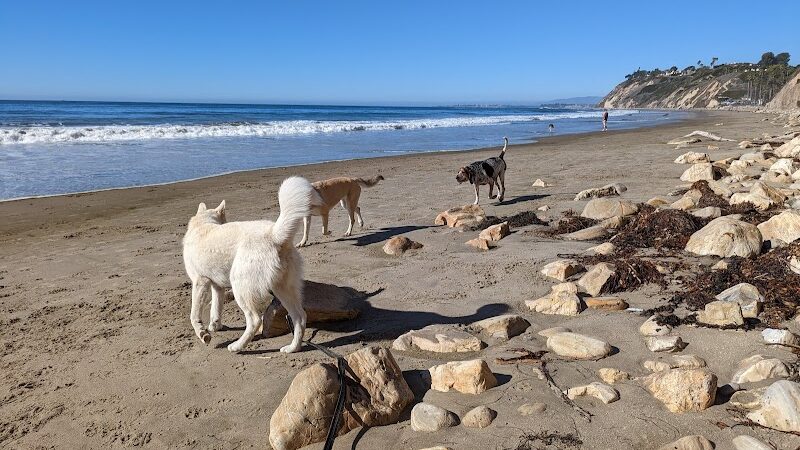 Arroyo Burro Beach County Park - Santa Barbara, CA