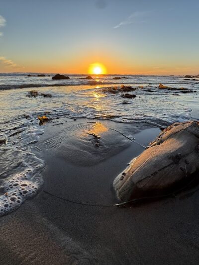 Arroyo Burro Beach County Park - Santa Barbara, CA