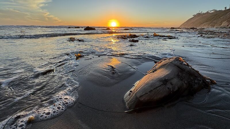 Arroyo Burro Beach County Park - Santa Barbara, CA