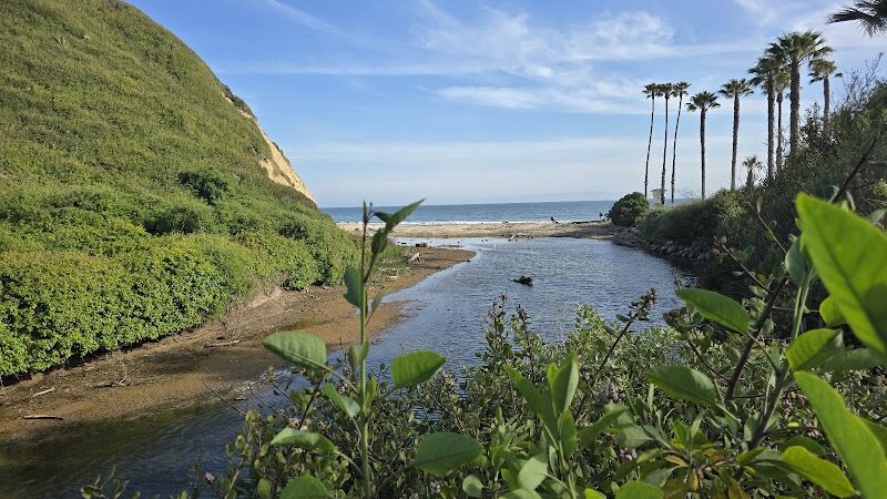 Arroyo Burro Beach County Park - Santa Barbara, CA