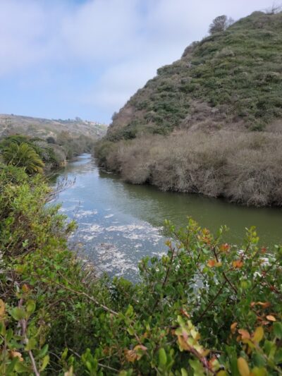 Arroyo Burro Beach County Park - Santa Barbara, CA