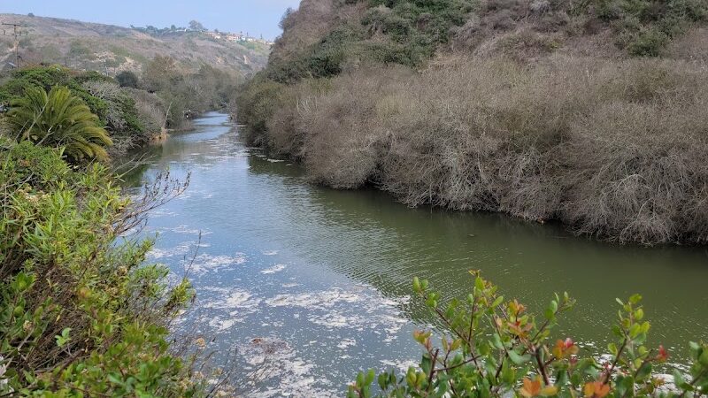 Arroyo Burro Beach County Park - Santa Barbara, CA