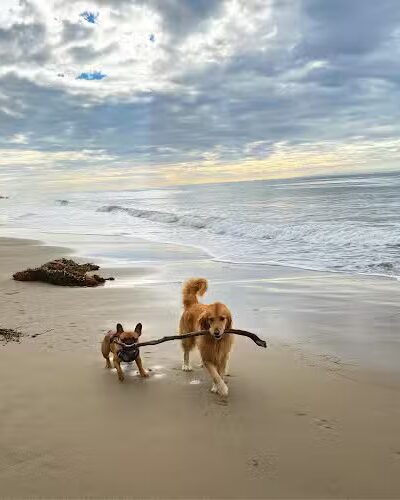 Arroyo Burro Beach County Park - Santa Barbara, CA