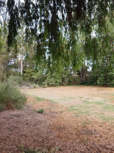 Calle Barquero Open Space - Santa Barbara, CA