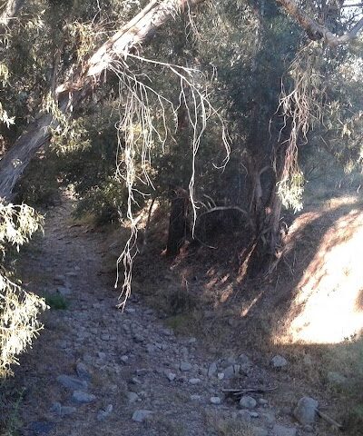 Calle Barquero Open Space - Santa Barbara, CA