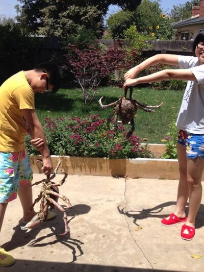 Calle Barquero Open Space - Santa Barbara, CA