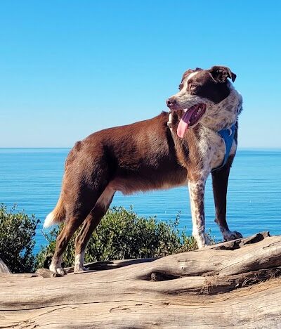Douglas Family Preserve - Santa Barbara, CA