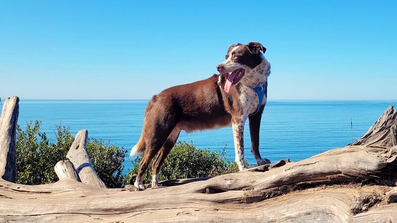Douglas Family Preserve - Santa Barbara, CA