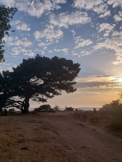Douglas Family Preserve - Santa Barbara, CA