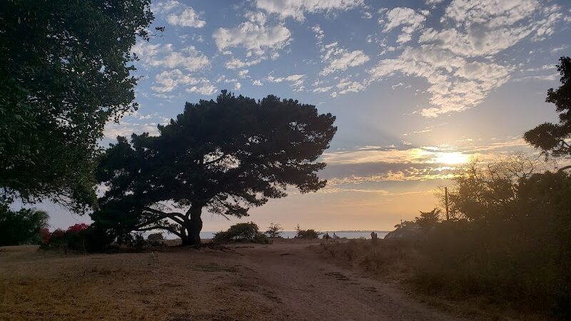 Douglas Family Preserve - Santa Barbara, CA