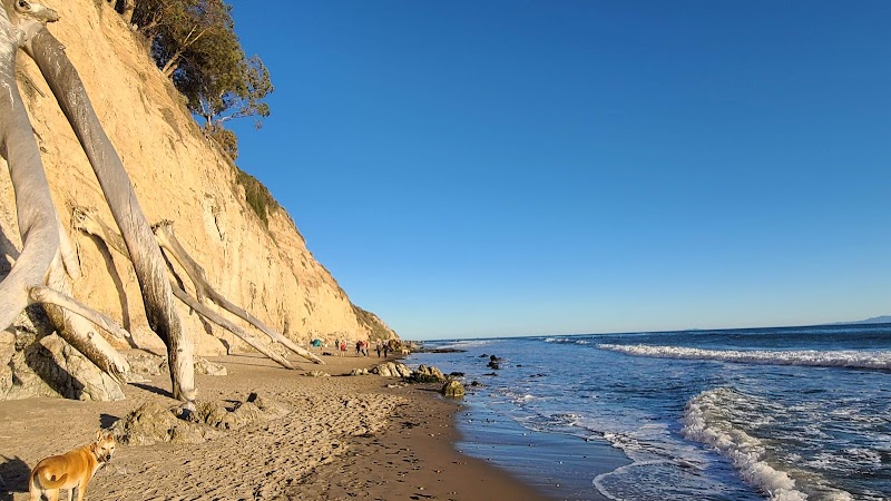 Douglas Family Preserve - Santa Barbara, CA