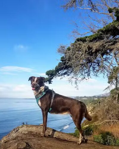 Douglas Family Preserve - Santa Barbara, CA