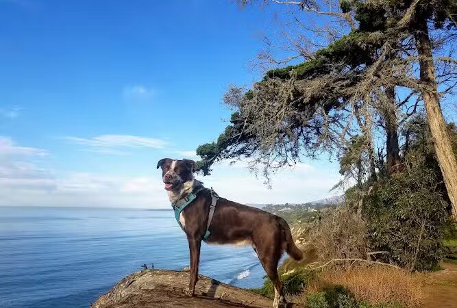 Douglas Family Preserve - Santa Barbara, CA