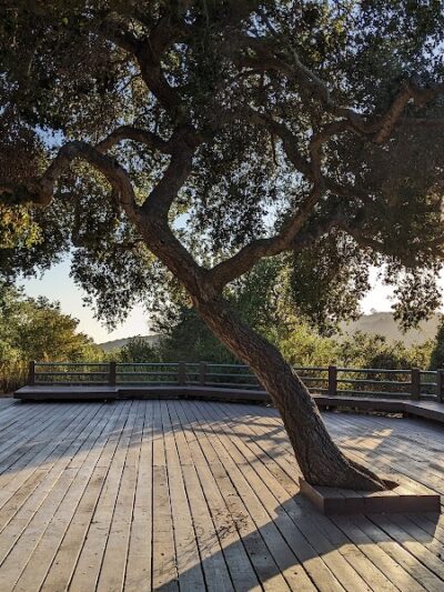 Elings Park - Santa Barbara, CA