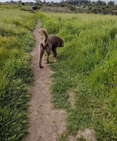 Elings Park - Santa Barbara, CA