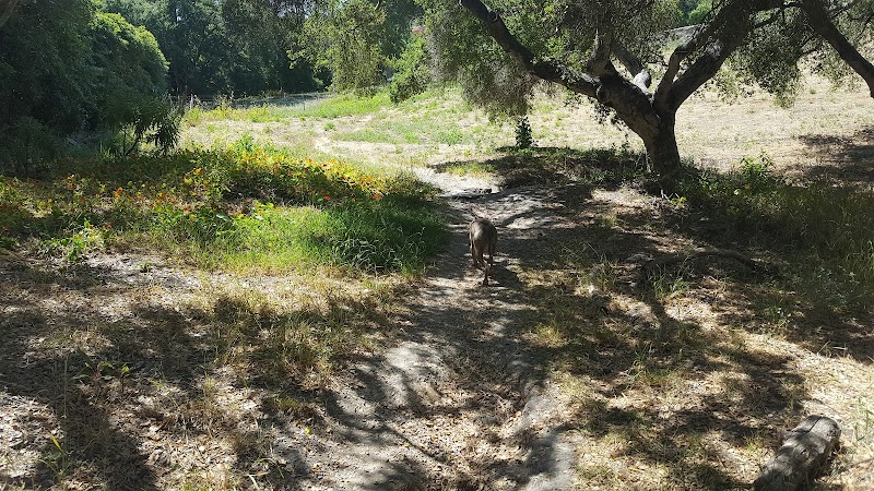 Hale Park - Santa Barbara, CA