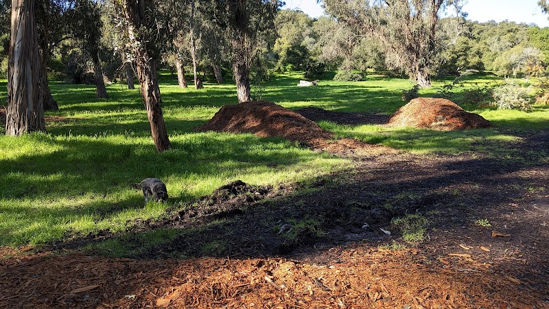 Hale Park - Santa Barbara, CA