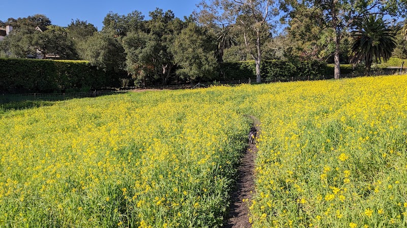 Hale Park - Santa Barbara, CA