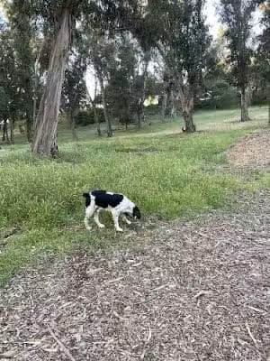 Hale Park - Santa Barbara, CA