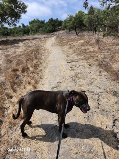 Hale Park - Santa Barbara, CA