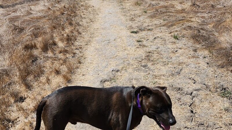 Hale Park - Santa Barbara, CA