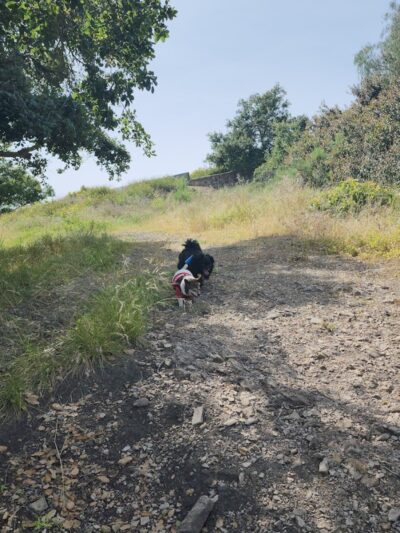 Hale Park - Santa Barbara, CA