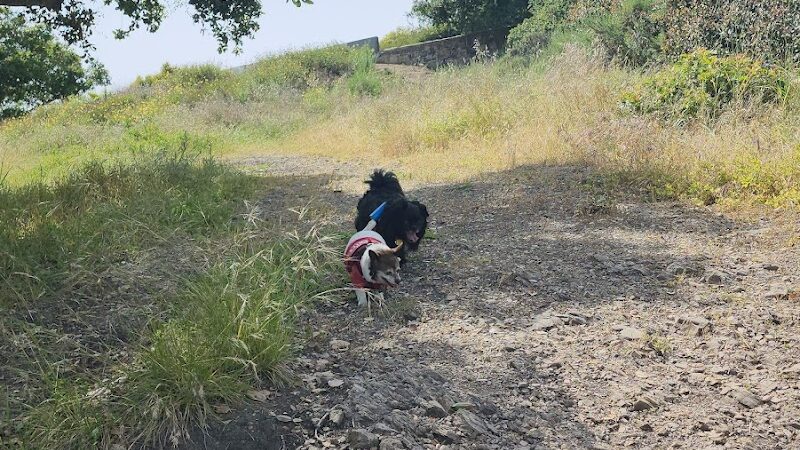 Hale Park - Santa Barbara, CA