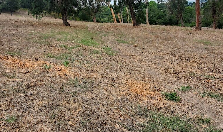 Hale Park - Santa Barbara, CA