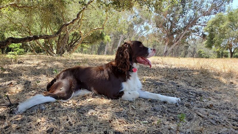 Hale Park - Santa Barbara, CA