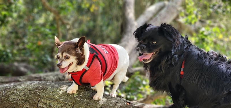 Hale Park - Santa Barbara, CA