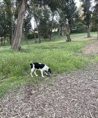 Hale Park - Santa Barbara, CA