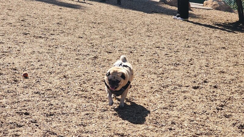 MacKenzie Park Dog Park - Santa Barbara, CA