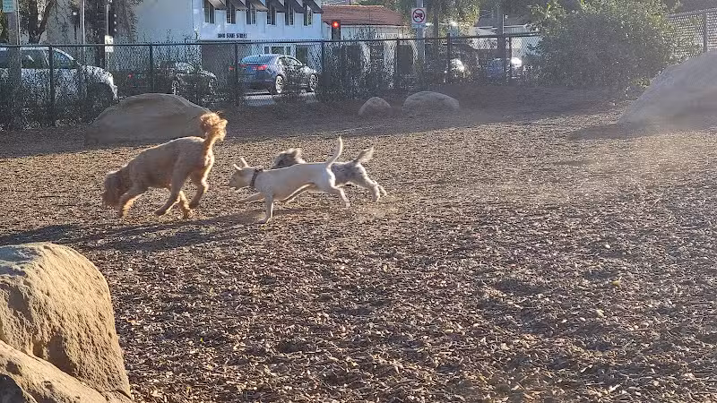 MacKenzie Park Dog Park - Santa Barbara, CA