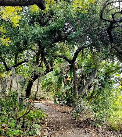 Orpet Park - Santa Barbara, CA