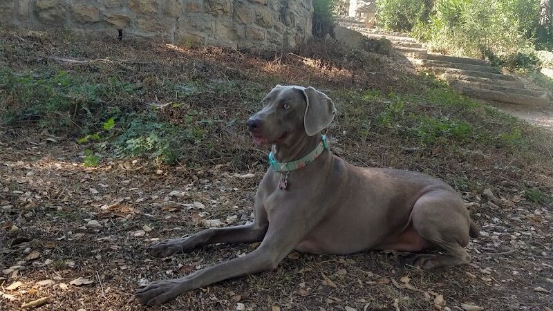 Orpet Park - Santa Barbara, CA