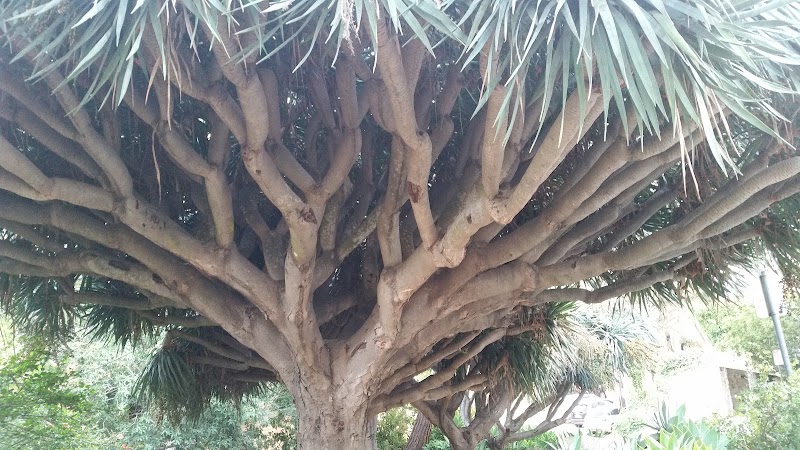 Orpet Park - Santa Barbara, CA