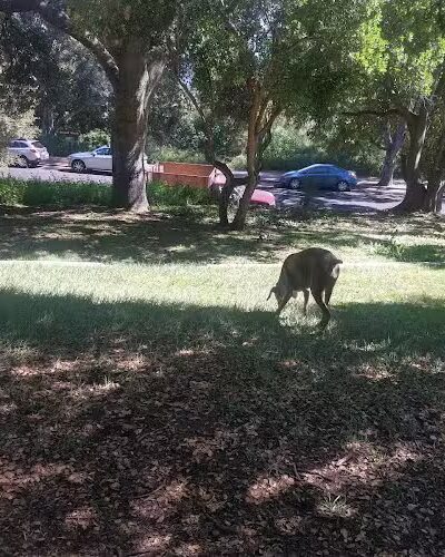 Orpet Park - Santa Barbara, CA