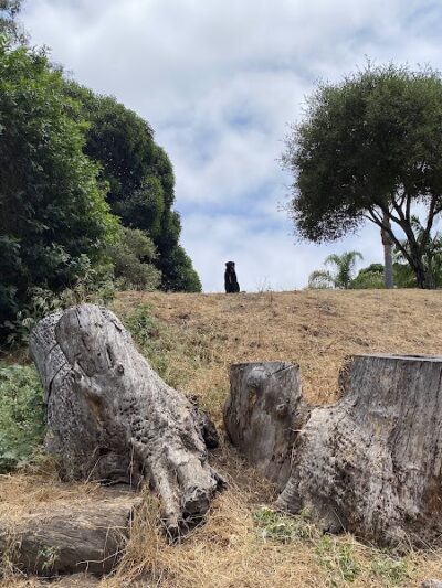 Patterson Open Space - Santa Barbara, CA