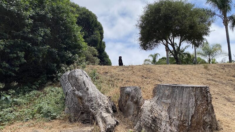 Patterson Open Space - Santa Barbara, CA