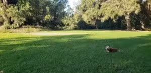 Patterson Open Space - Santa Barbara, CA