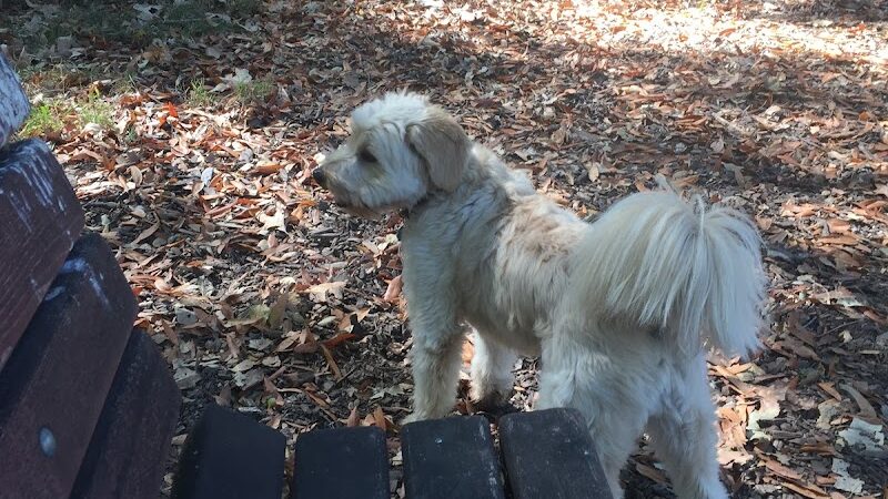 Patterson Open Space - Santa Barbara, CA