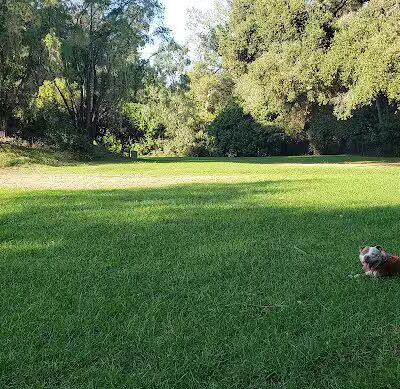 Patterson Open Space - Santa Barbara, CA