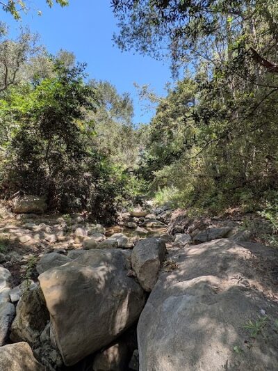 San Antonio Canyon Park - Santa Barbara, CA
