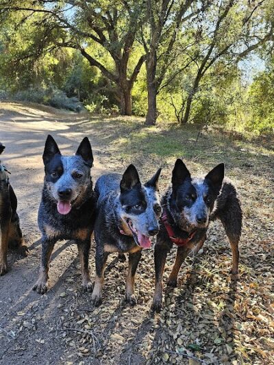 San Antonio Canyon Park - Santa Barbara, CA