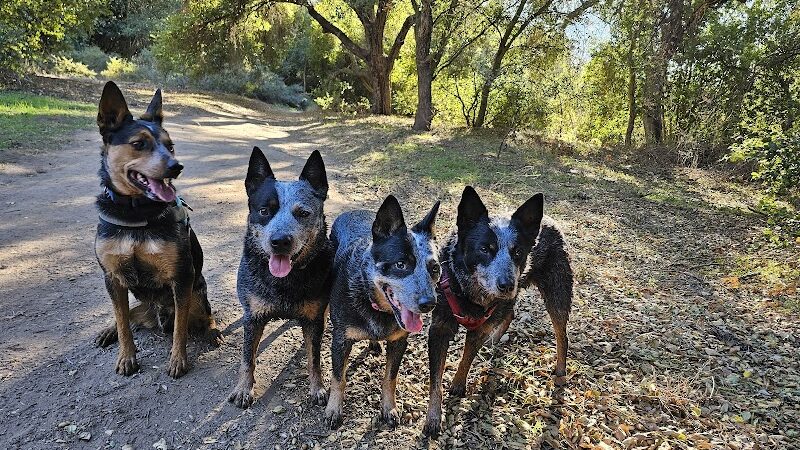 San Antonio Canyon Park - Santa Barbara, CA