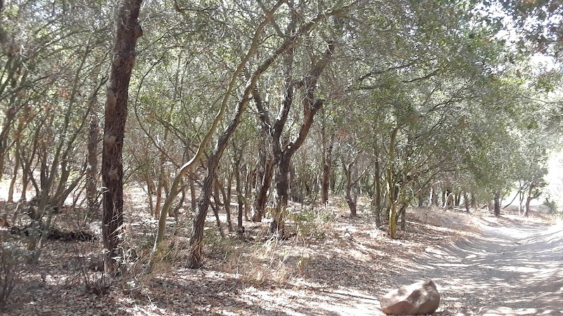 San Antonio Canyon Park - Santa Barbara, CA