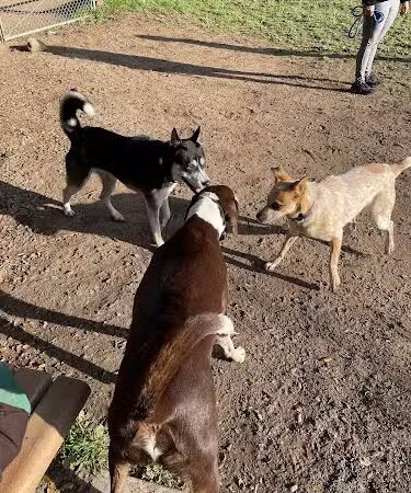 San Antonio Canyon Park - Santa Barbara, CA