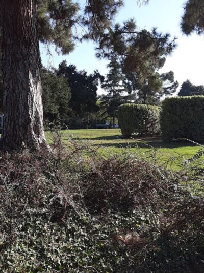 San Roque Park - Santa Barbara, CA