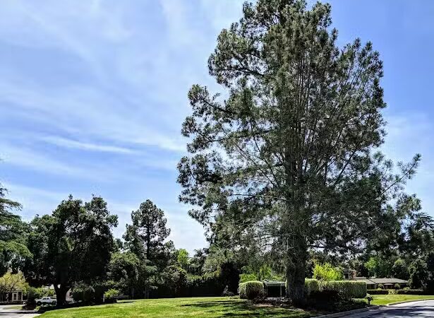San Roque Park - Santa Barbara, CA