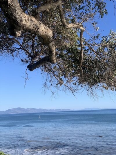 Shoreline Park - Santa Barbara, CA